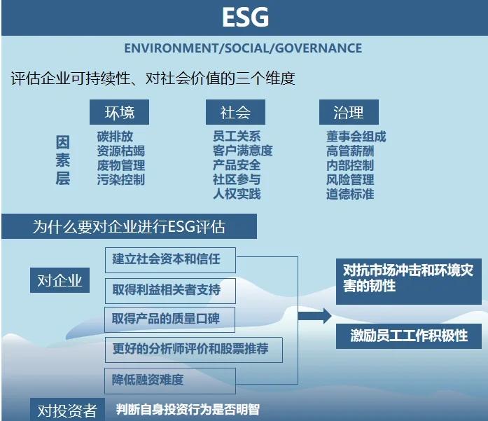 双碳战略咨询服务(双碳战略是什么意思)淄博市