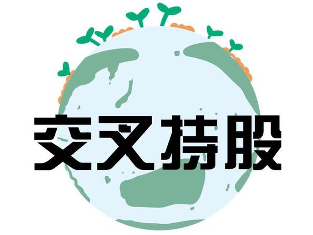 交叉持股安排设计(交叉持股怎么计算持股比例)淄博市