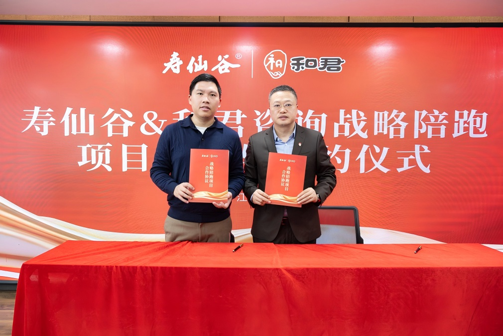 战略执行陪跑服务(战略执行五步方案案例)淄博市