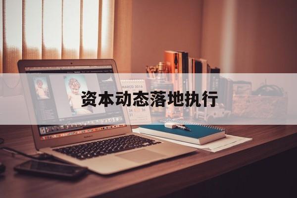 资本动态落地执行(资本动态落地执行什么意思)淄博市