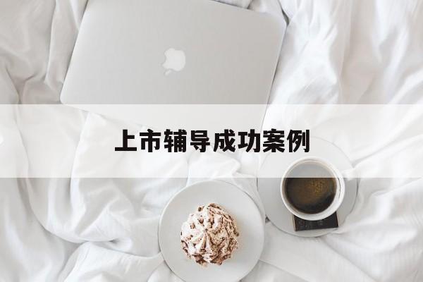 上市辅导成功案例(上市辅导成功后肯定会上市吗)淄博市